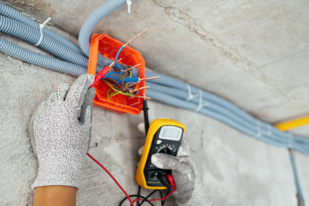 Best Local Electrician Companies  in Venice, IL